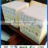 Sale by Bulk of Unique Shape Pure Sponge thumbnail-3