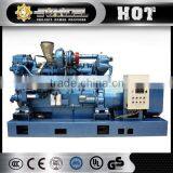 Gas Generator Set Convert Generator To Natural Gas