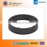 Anisotropic SmCo Injection Magnet thumbnail-2