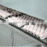 Polystrene Foam Tray Making Machine thumbnail-4