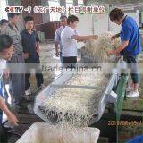 Popular Quality Sprouting Vibration Sheller