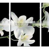 Hot Sale Waterproof 3 Piece Decorate Art Frame Paintings thumbnail-1