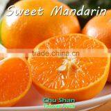 Grade A Fresh Mandarin Orange Citrus Fruit thumbnail-4