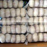 2015 No Pollution and New Harvested Garlic thumbnail-2