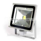 Outdoor Hot Sales IP65 Bright 50W Led Flood light with sensor