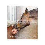 HIMALAYAN HORSE LICKING SALT