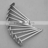 Coil Nail thumbnail-1