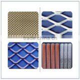 Expanded Metal Mesh / Galvanized Diamond Expanded Metal Mesh(factory)