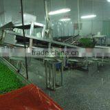 BRC,OU KOSHER ,HALAL Certificates IQF Green Peas thumbnail-1