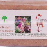 Plants Soap thumbnail-1