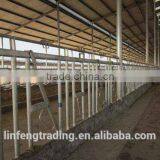 Livestock Equipment Hot Dip Galvanized Cow Cattle Headlocks thumbnail-3