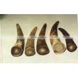 Cow/ox and Buffalo Horn Tip Manufacture India Black Brown thumbnail-2