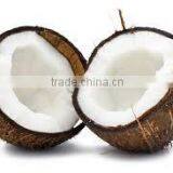 Husked Coconuts From Tamilnadu thumbnail-4