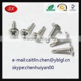 China Hardware Factory Custom Anode Steel Screw thumbnail-3