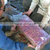 Hydraulic Vertical Semi-automatic Baler for Waste Rag, Used Clothes Baler Machine XS-205T thumbnail-2