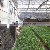 Fully Automated Light Deprivation Greenhouse thumbnail-6