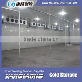 China Factory New Technology Refrigerator Ice Storage