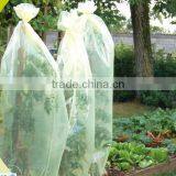 PE Agriculture Perforated Plastic Tomato Tube Film thumbnail-4