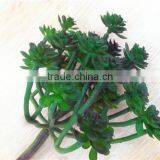 Home and Outdoor Garden Edging Christmas Decoration 60cm or 24inches Height Artificial Small Grass for Green Wall E04 1043 thumbnail-4