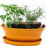 Herb Planter Kit, Oval Seed Planters With Tray thumbnail-1