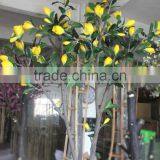 GNW BLS034 Magnolia Bonsai Tree Wedding Hotel Reception Trees For Sale thumbnail-2