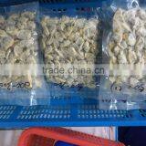 Selected Quality Frozen Short Necked Clam Meat thumbnail-1