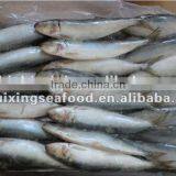 2016 Best Quality Canned Sardine From China thumbnail-3