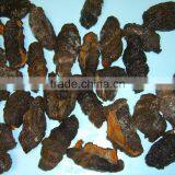 Dried Sea Cucumber thumbnail-4