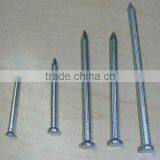 Galvanized Concrete Nails With Factory Price thumbnail-2