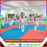 Taekwondo Mat/puzzle Mat/martial Arts Mat/aikido