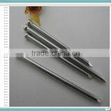 Low Price 12G*2'' Polish Finish Bulk Packing Common Nail, Steel Nail, Iron Nail thumbnail-5