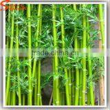 Newest Artificial Green Bamboo Stick Bamboo Poles Wholesale thumbnail-4
