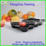 Pengzhou Plastic Macaron Tray thumbnail-1