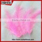 Any Color Cleaning Down Turkey Feather for Hat Wedding Decoration thumbnail-5