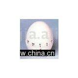 KITCHEN TIMER thumbnail-1