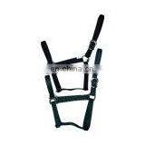 Horse PP Halters thumbnail-1