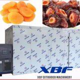 Hot Selling Fully Automatic Fruit and Vegetable Air Oven Dryer thumbnail-4
