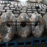 Galvanized Steel Wire thumbnail-2