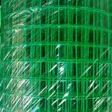 Green Color 1/2 Pvc Coated Welded Wire Mesh thumbnail-5