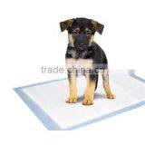 Dog Training Leash Best Pee Pads Large Pee Pads