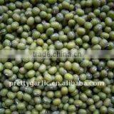 Green Mung Beans Crop 2011 thumbnail-1