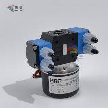 Original HAP NT04692C-HB600 Fast-Track Flat Double-Head Liquid Diaphragm Pump, Ceramic Digital Inkjet Printing Machine Circulation Double-Head Pump thumbnail-5