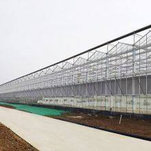 Agricultural Custom China Wholesale Glass for Greenhouses for Outdoors thumbnail-5