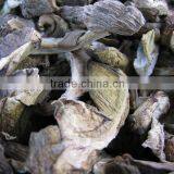 Factory Supply Organic Dried White Boletus Mushroom thumbnail-3