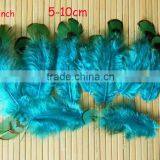 Wholesale Diy Feather Decorative Craft Feather thumbnail-5