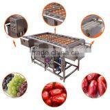 tomato washing processing equipment