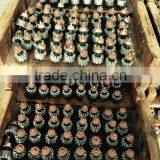 MAC 120v-230v Micro Good Quality Cutting Machine Motor thumbnail-4