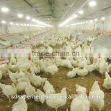 Poultry Equipment Manufacturer