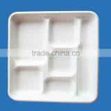 Disposable Food Serviing Tray
