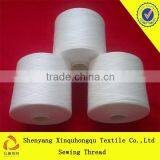 T30s/2 China High Tenacity 100% Yizheng Dacron Sewing Thread thumbnail-2